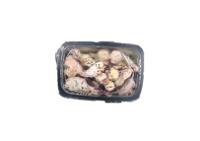 Octopus salad Tosi e Raggini 200g